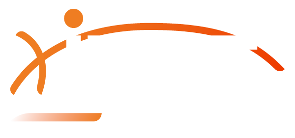 INE Security
